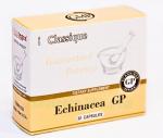 Echinacea GP (Ехинацея Джи Пи) (Santegra / Сантегра)