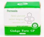 Ginkgo Forte GP (Джинкго Форте Джи Пи) (Santegra / Сантегра)